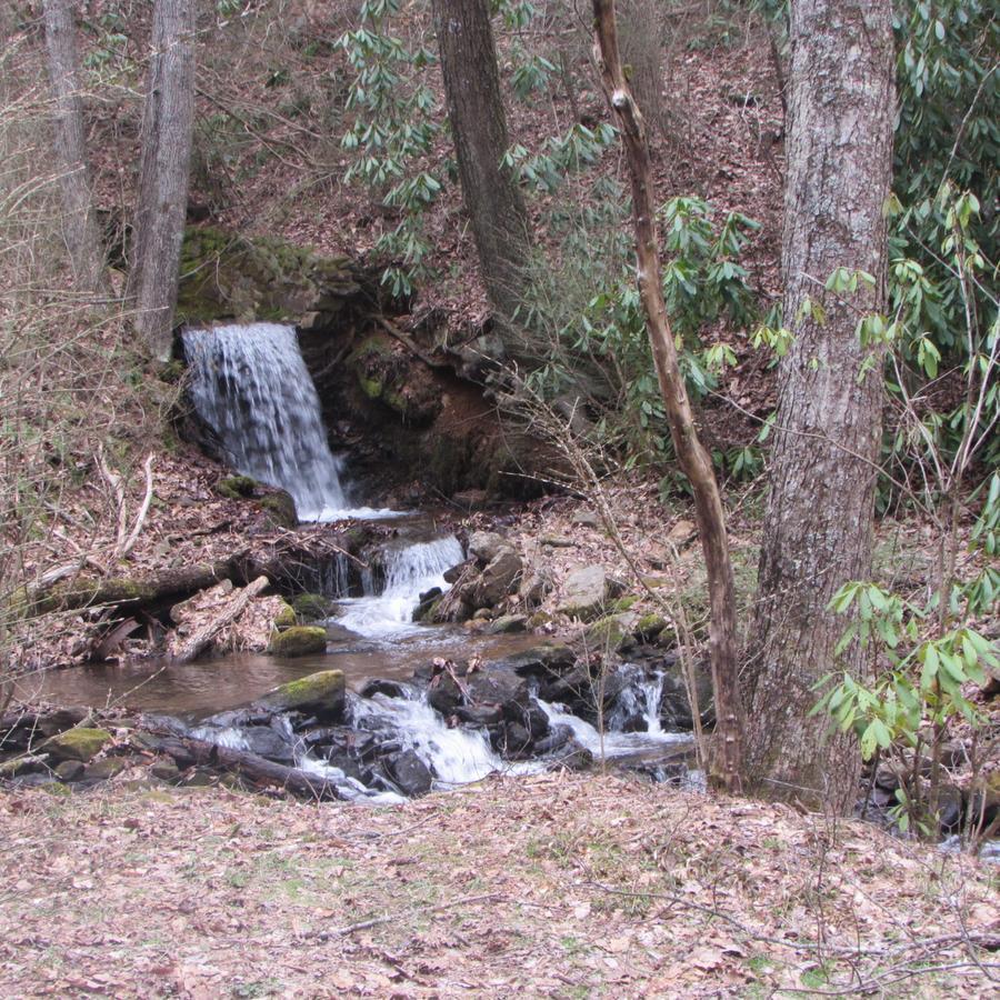 وينزفيل، كارولاينا الشمالية Red Leaf River Inn المظهر الخارجي الصورة