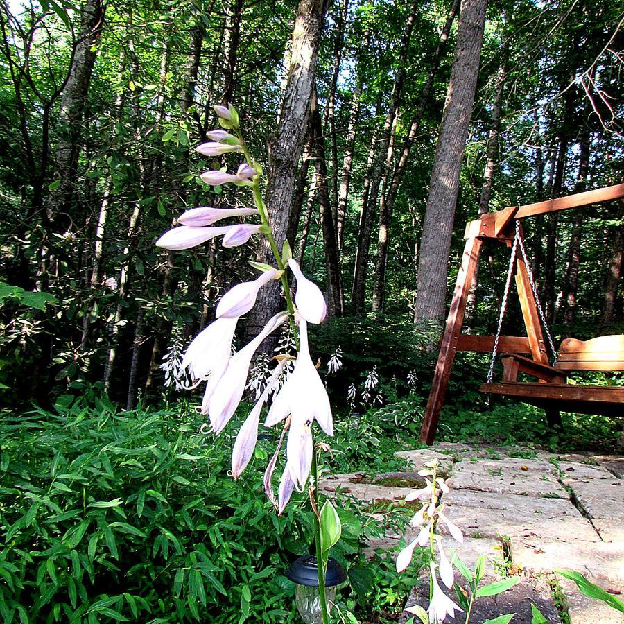 وينزفيل، كارولاينا الشمالية Red Leaf River Inn المظهر الخارجي الصورة